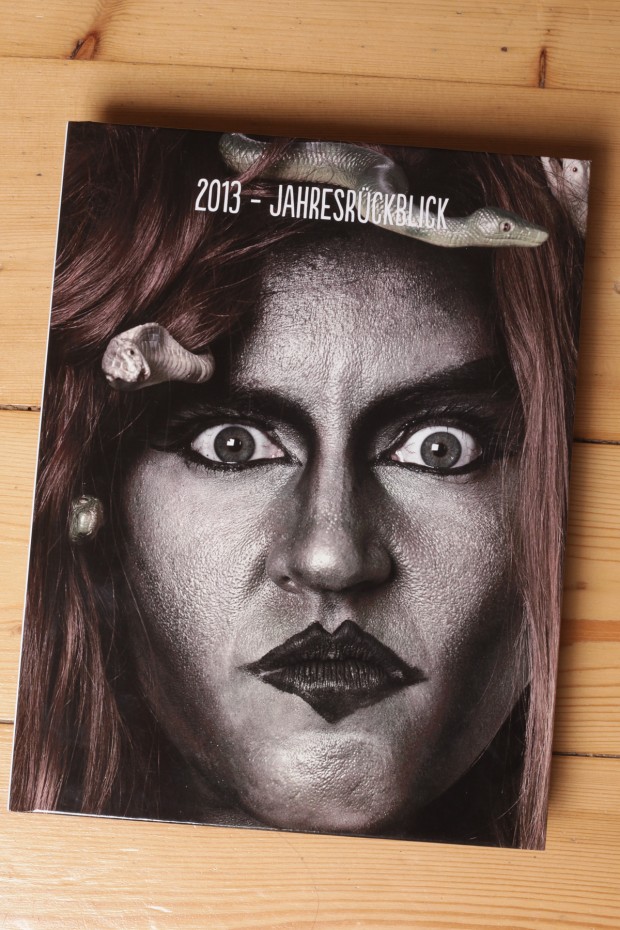 Cover des Buches - Jahresrückblick 2013