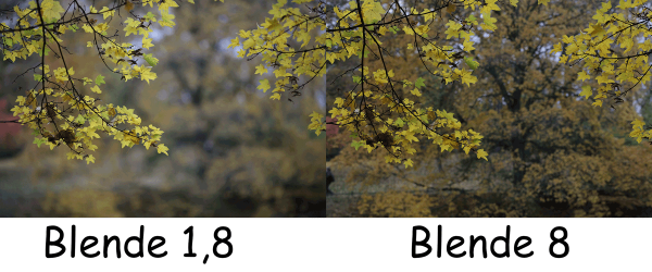 85mm-Herbstfoto