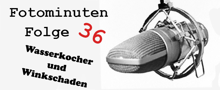 Wasserkocher-und-Winkschaden