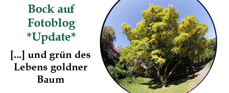 Bock auf Fotoblog