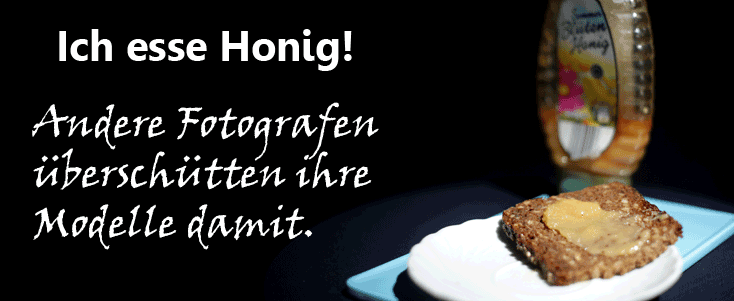 Honig-Blake-Little